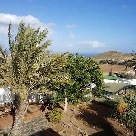 Palmeras *