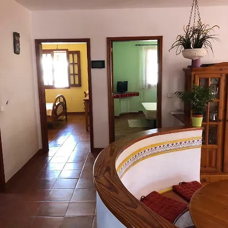 Palmeras * Ingenio