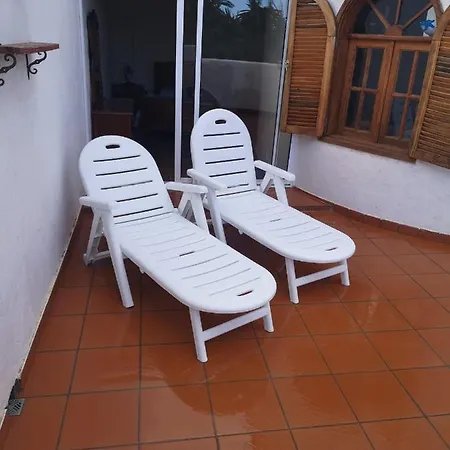 Palmeras