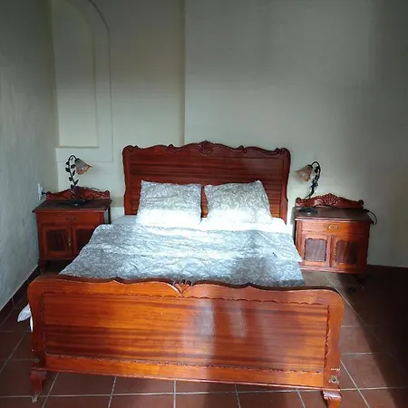 Palmeras Ingenio