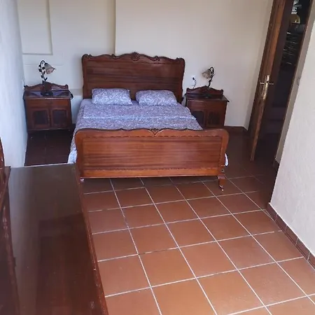 Palmeras