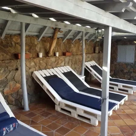 Palmeras